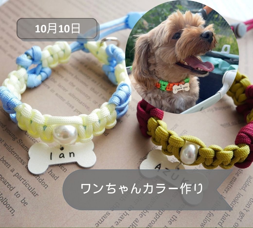 2026年10月10日わんちゃんカラー作り