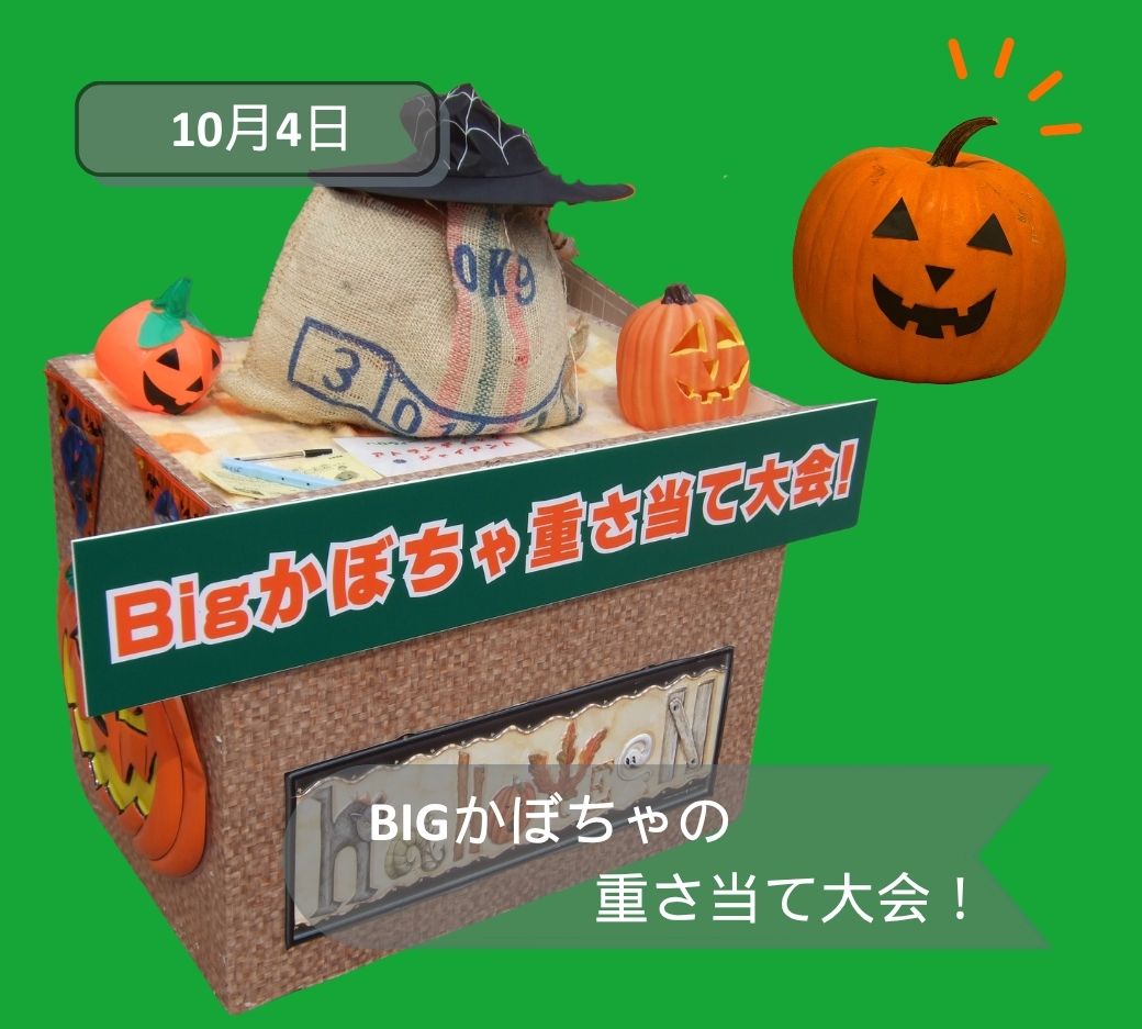 2026年10月伊勢崎イベントかぼちゃ重さ当て